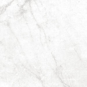 Centura Floor Tiles Antica Carrara White Matte 12″ x 24″