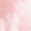 Centura Wall Tiles Artisan Rose Mallow Glossy 2-1/2" x 8" (5.28 sqft/box) - Image 2