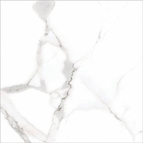Centura Floor Tiles Alsacia Matte 12" x 24" (11.63 sqft/box)