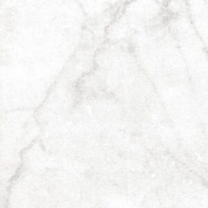 Centura Floor Tiles Antica Carrara White Natural 24" x 24"