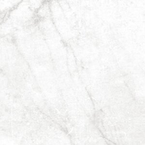 Centura Floor Tiles Antica Carrara White Matte 12" x 24"