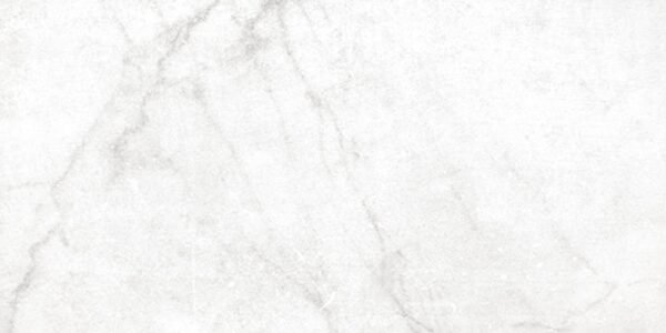 Centura Floor Tiles Antica Carrara White Matte 12" x 24"