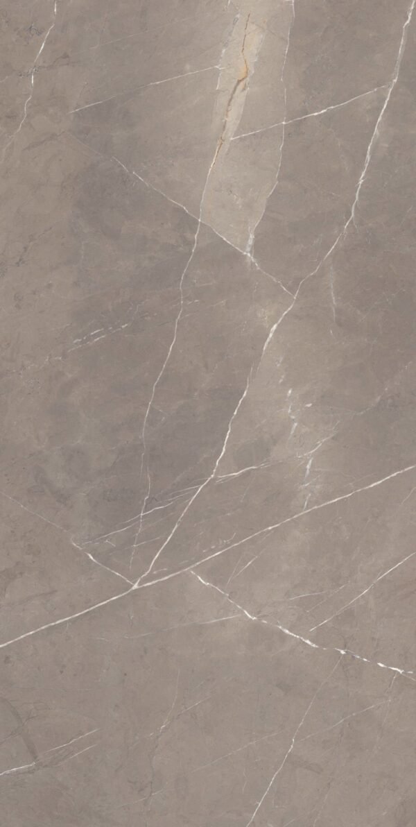 Planchers 1867 Floor Tiles Pietragrey Taupe Matte 12" x 24"