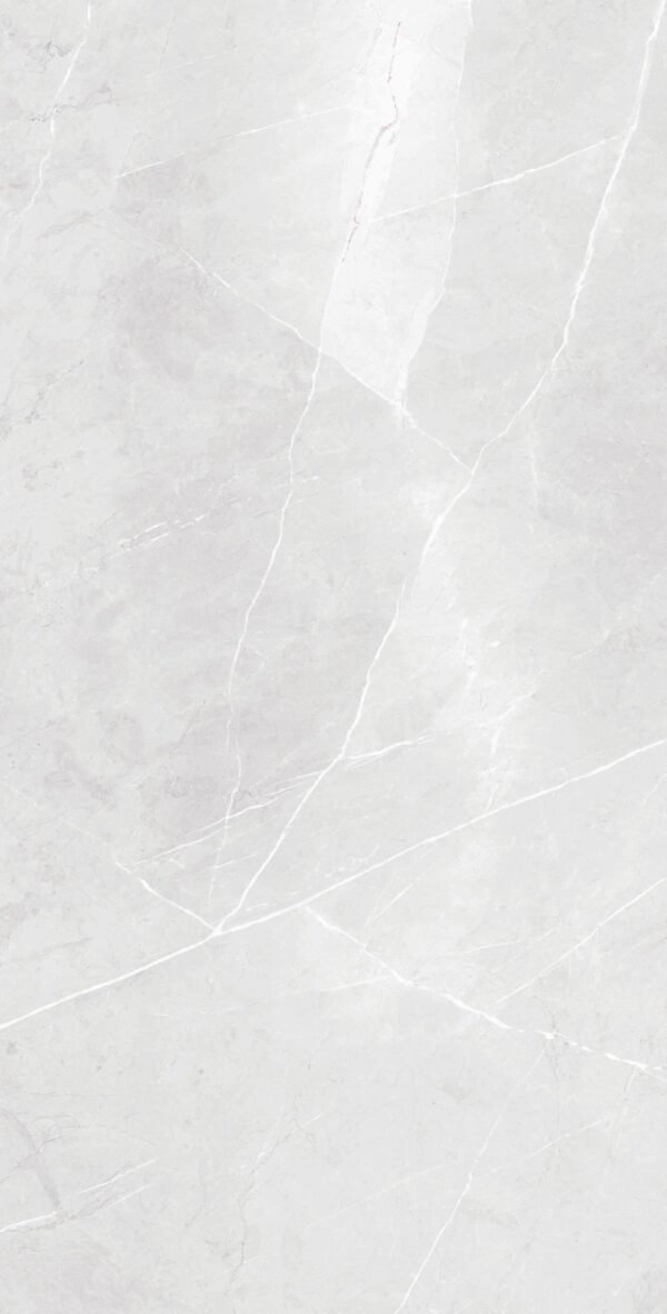 Planchers 1867 Floor Tiles Pietragrey White Matte 12" x 24"