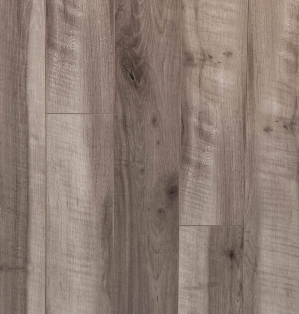 Planchers 1867 Laminate Flooring Concerto Verdi Maple 5" x 48"
