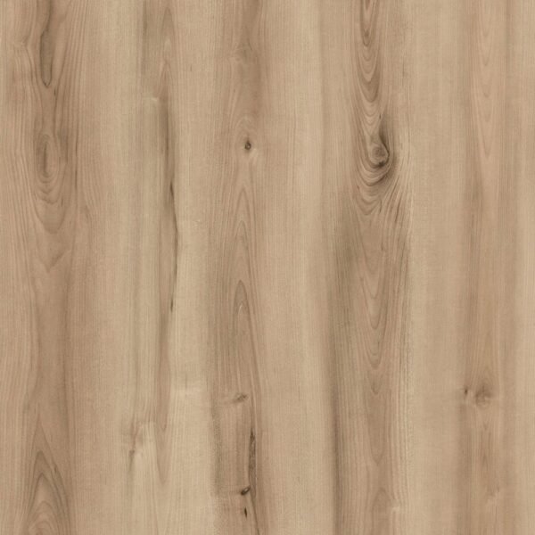Planchers 1867 Vinyl Planks Evolution Origin Boa Glue Down 6" x 48"
