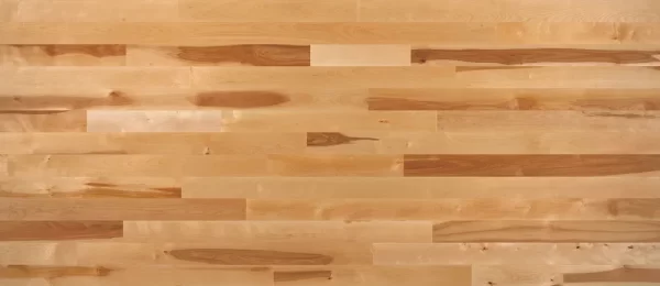 Lauzon Expert Hardwood Essential Natural Yellow Birch Tradition Matte 3-1/4" - 3/4"