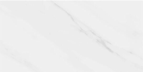 Planchers 1867 Floor Tiles Lenci White Polished 24" x 48"