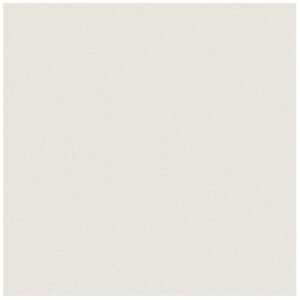 Anatolia Floor Tile Prima Warm White Matte 12" x 12"
