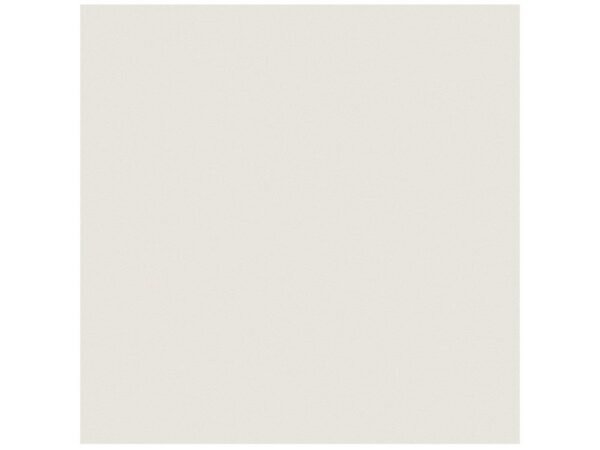 Anatolia Floor Tile Prima Warm White Matte 24" x 24"