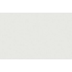 Anatolia Floor Tile Prima True White Matte 24" x 47"