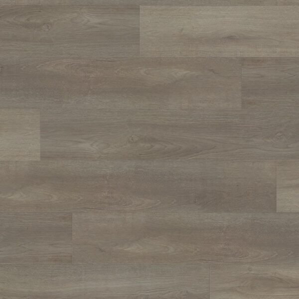 Beaulieu Laminate Wisdom Influence 7-23/32" x 47-7/8"