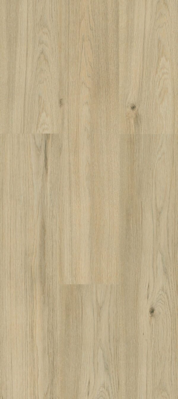 Planchers 1867 Laminate Flooring Privilege Artfloor Samyeli 7" x 48"