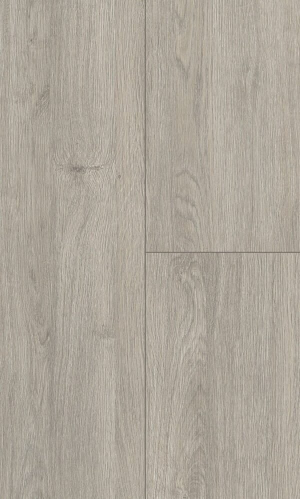 Planchers 1867 Laminate Flooring Privilege Artfloor Divine 7" x 48"
