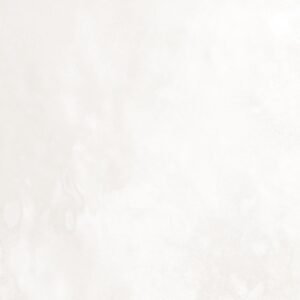 Centura Wall Tiles Artisan White Glossy 5" x 5"