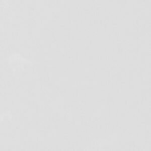 Centura Wall Tiles Mono Perla Glossy 8" x 8"