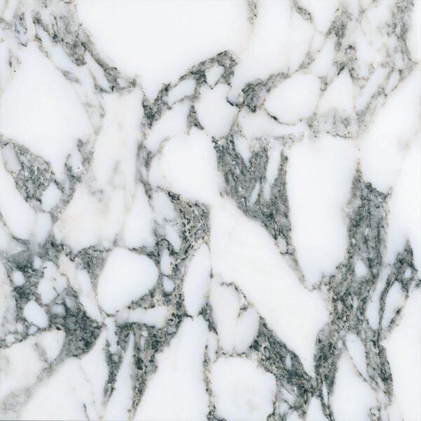 Italbec Floor Tiles Vera Vena New Arabescato Polished 24" x 24"