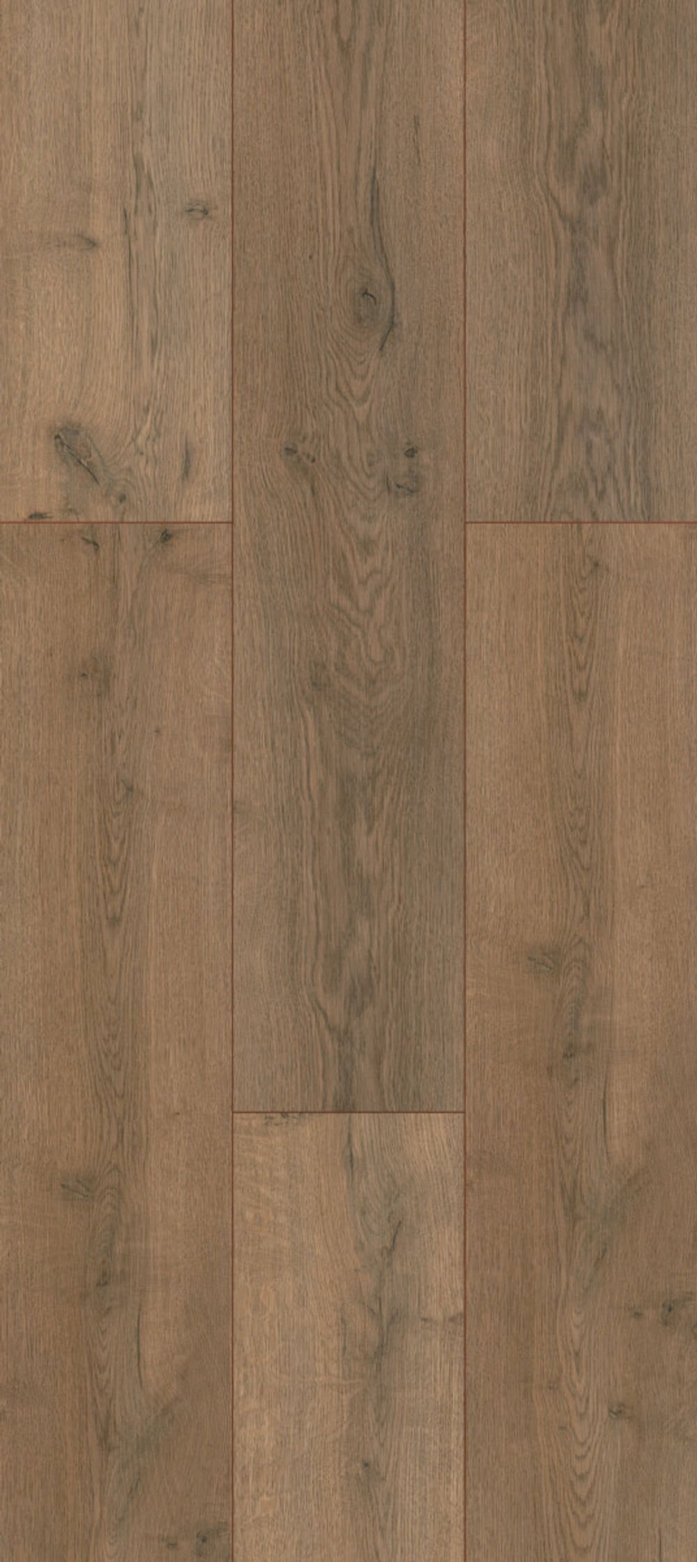 Goodfellow Laminate Flooring Floorpan Elite XL Canyon 7-5/8" x 48"