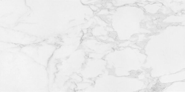 Centura Floor Tiles Sempre Carrara Matte 12" x 24"