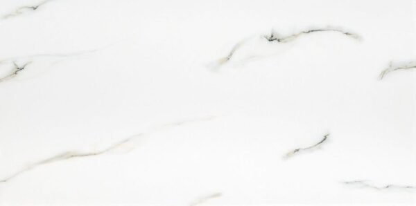 MSI Surfaces Floor Tiles Aria Bianco White-Cool Polished 24" x 48"