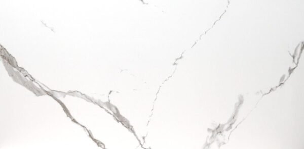 MSI Surfaces Floor Tiles Eden Statuary White-Cool Matte 24" x 48"
