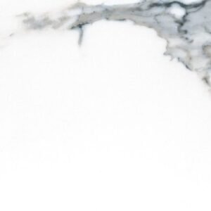 MSI Surfaces Floor Tiles Savoy Azula White-Cool Polished 12" x 24"