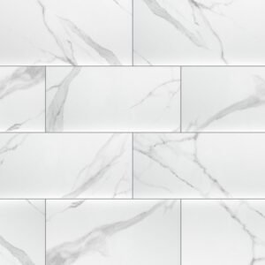 MSI Surfaces Wall Tiles Dymo Statuary White-Cool Glossy 12" x 24"