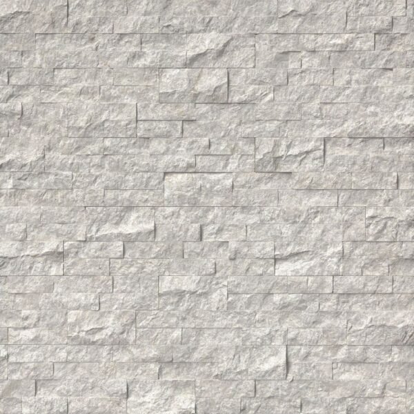 MSI Surfaces Wall Tiles Silver Canyon Gray-Light Splitface 6" x 24"