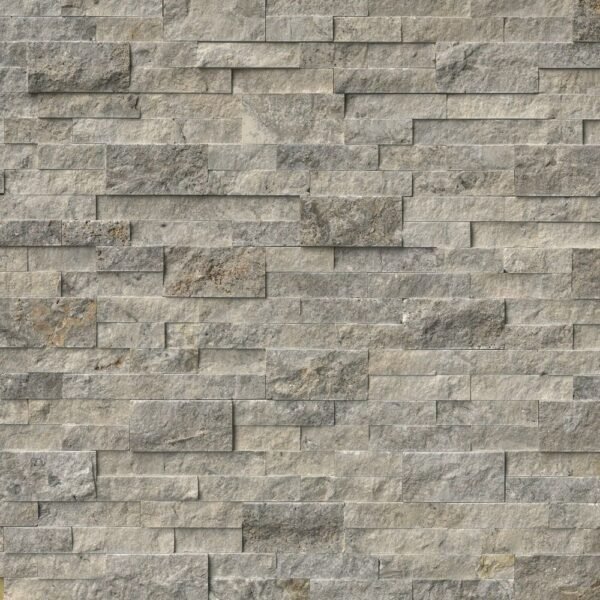 MSI Surfaces Wall Tiles Silver Gray-Light Splitface 6" x 24"