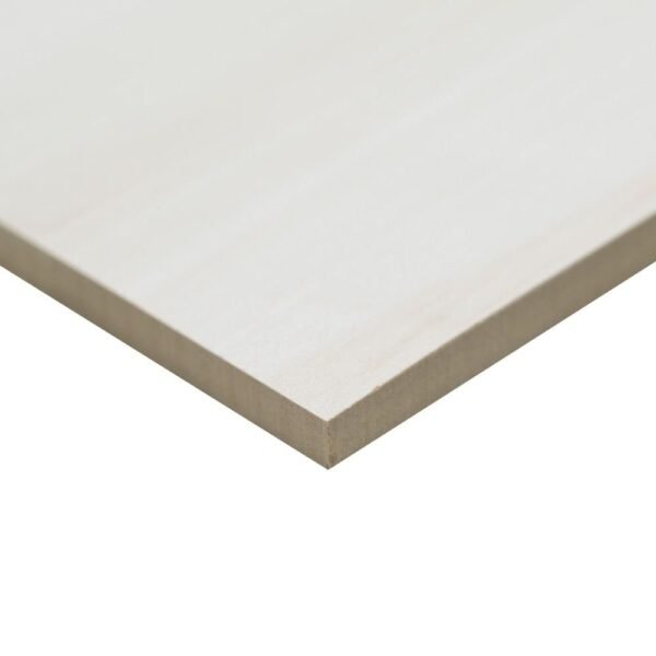 MSI Surfaces Floor Tiles Eden Dolomite White-Cool Matte 12" x 24" - Image 3