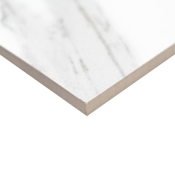 MSI Surfaces Floor Tiles Eden Statuary White-Cool Matte 24" x 48" - Image 3