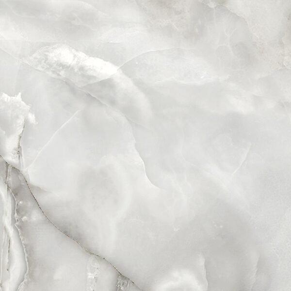 Centura Floor Tiles Potomac Gris Matte 24" x 24"