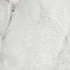 Centura Floor Tiles Potomac Gris Matte 12" x 24"