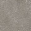 Centura Floor Tiles Norr 2.0 Gr? Fine Natural 24" x 24"