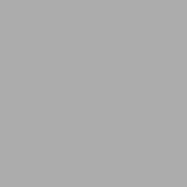 Centura Floor Tiles Provenzal Silver Satin 6" x 12" - Image 2