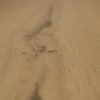 Grandeur Flooring Engineered Hardwood Metropolitan Moraine 7-1/2" - 3/4" - Image 2